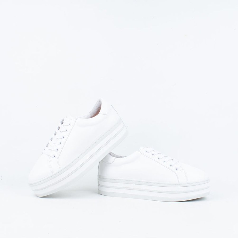 Women Alfie and Evie Lace Up | Oracle Sneaker