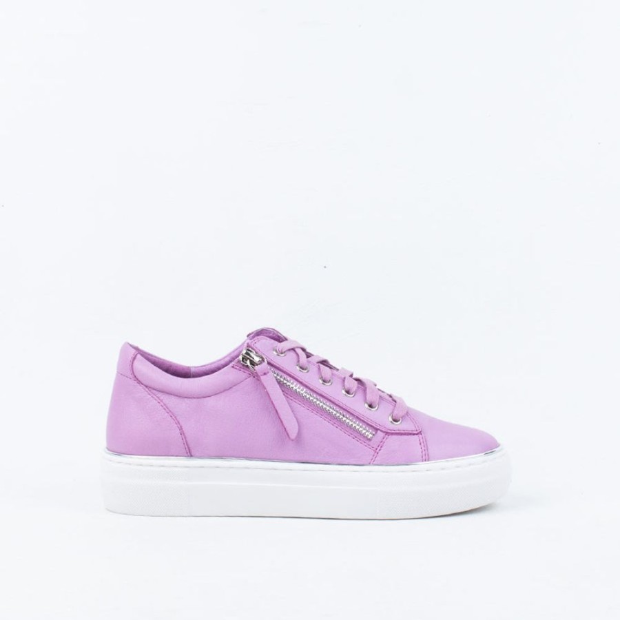 Women Gelato Lace Up | Zack Sneaker