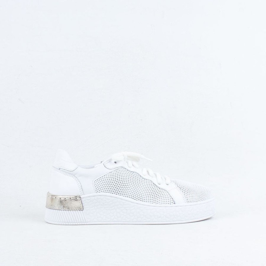 Women Gelato Lace Up | Ellen Sneaker White/Gold